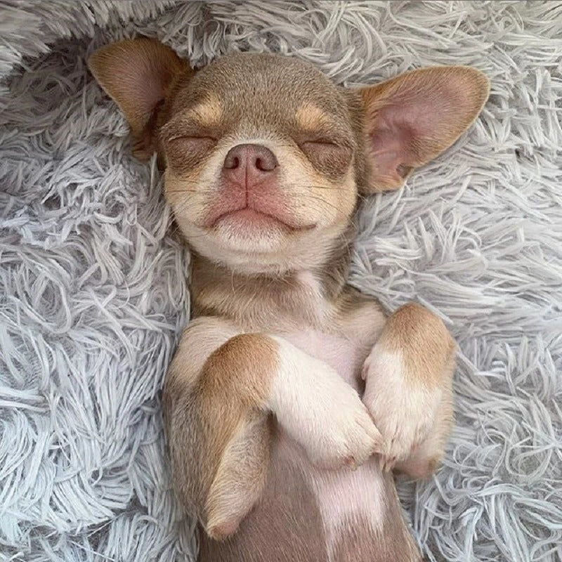 Washable Long Plush Pet Bed